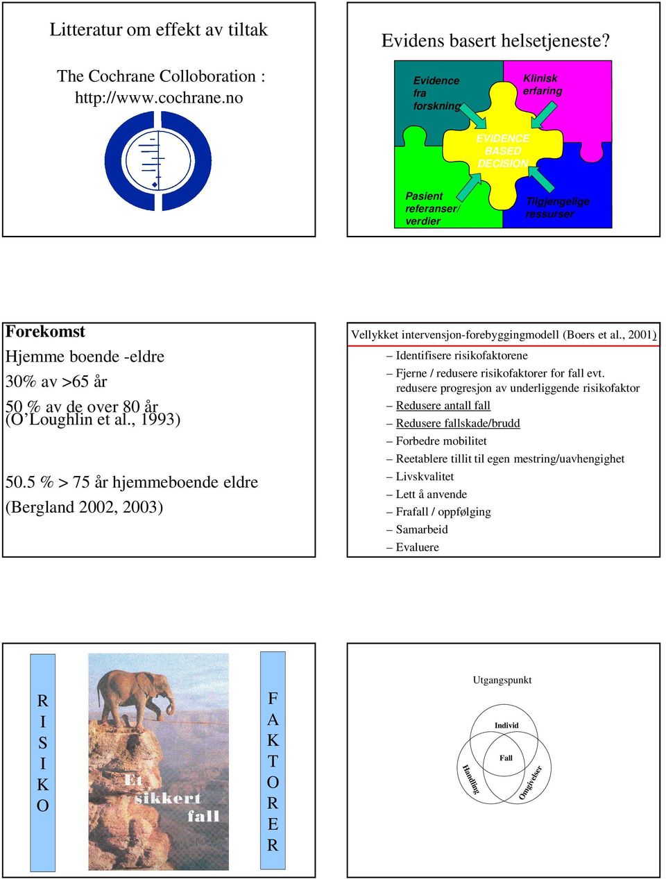 , 1993) Tilgjengelige ressurser Vellykket intervensjon-forebyggingmodell (Boers et al., 2001) Identifisere risikofaktorene Fjerne / redusere risikofaktorer for fall evt.