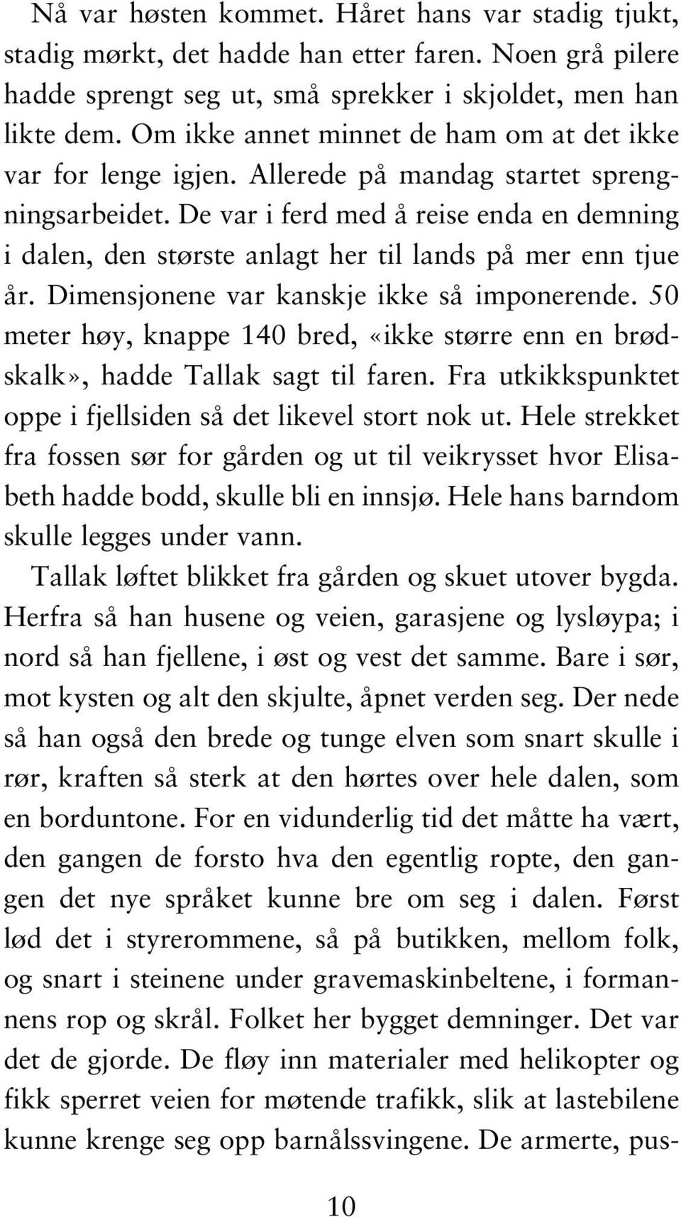 De var i ferd med å reise enda en demning i dalen, den største anlagt her til lands på mer enn tjue år. Dimensjonene var kanskje ikke så imponerende.