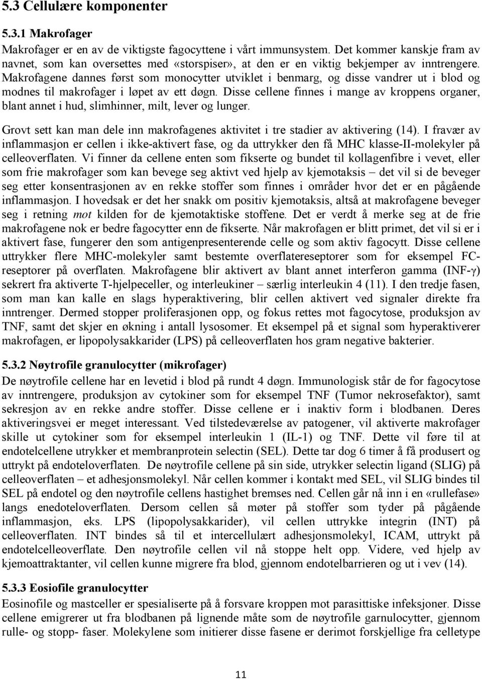 Makrofagene dannes først som monocytter utviklet i benmarg, og disse vandrer ut i blod og modnes til makrofager i løpet av ett døgn.