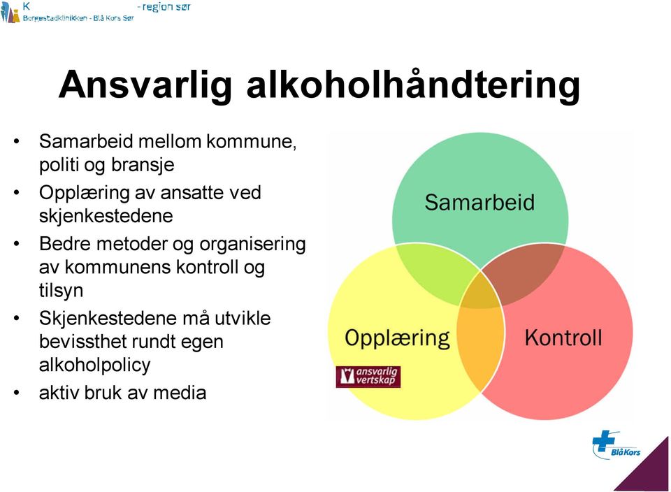 og organisering av kommunens kontroll og tilsyn Skjenkestedene