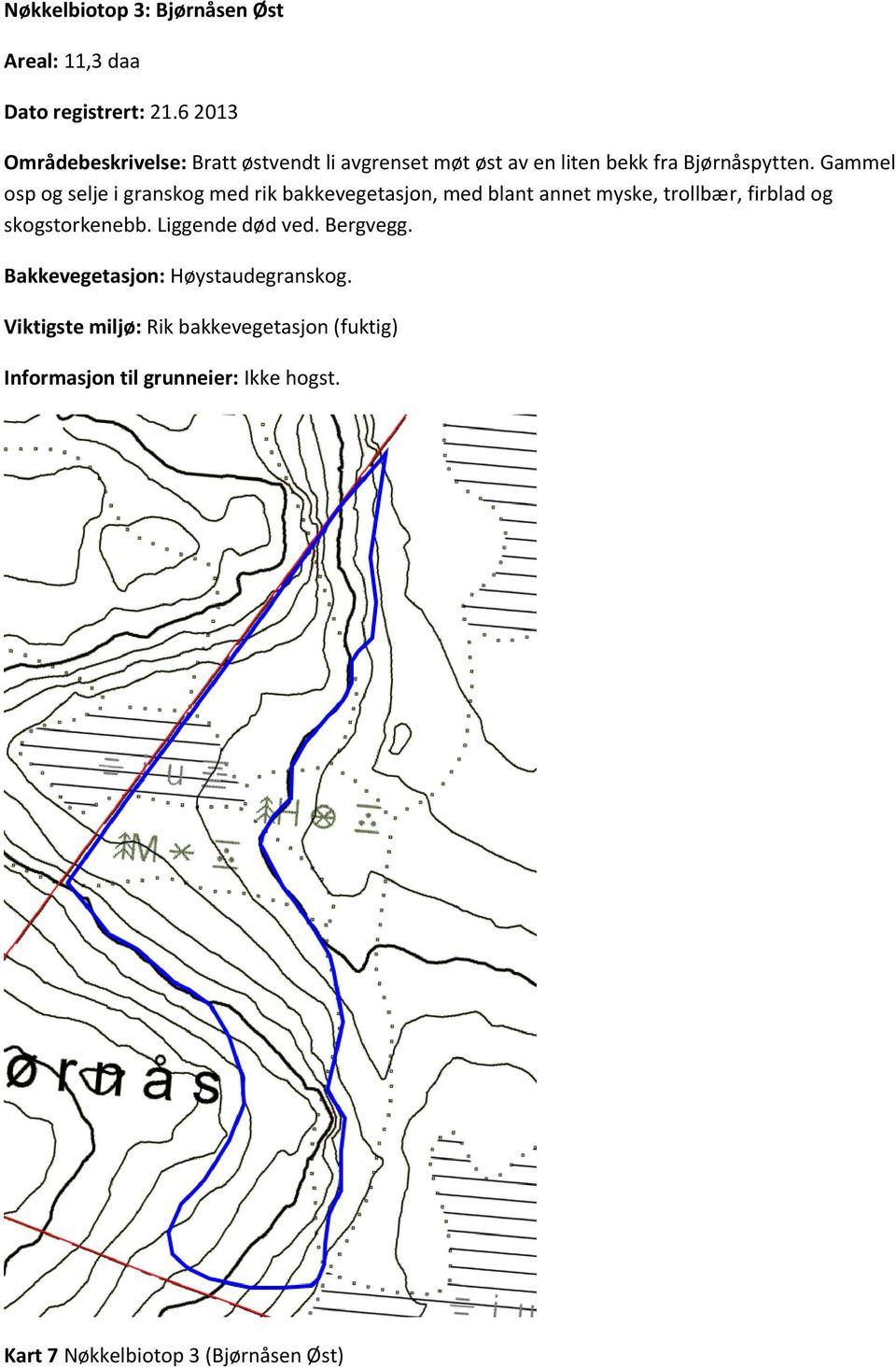 Gammel osp og selje i granskog med rik bakkevegetasjon, med blant annet myske, trollbær, firblad og skogstorkenebb.