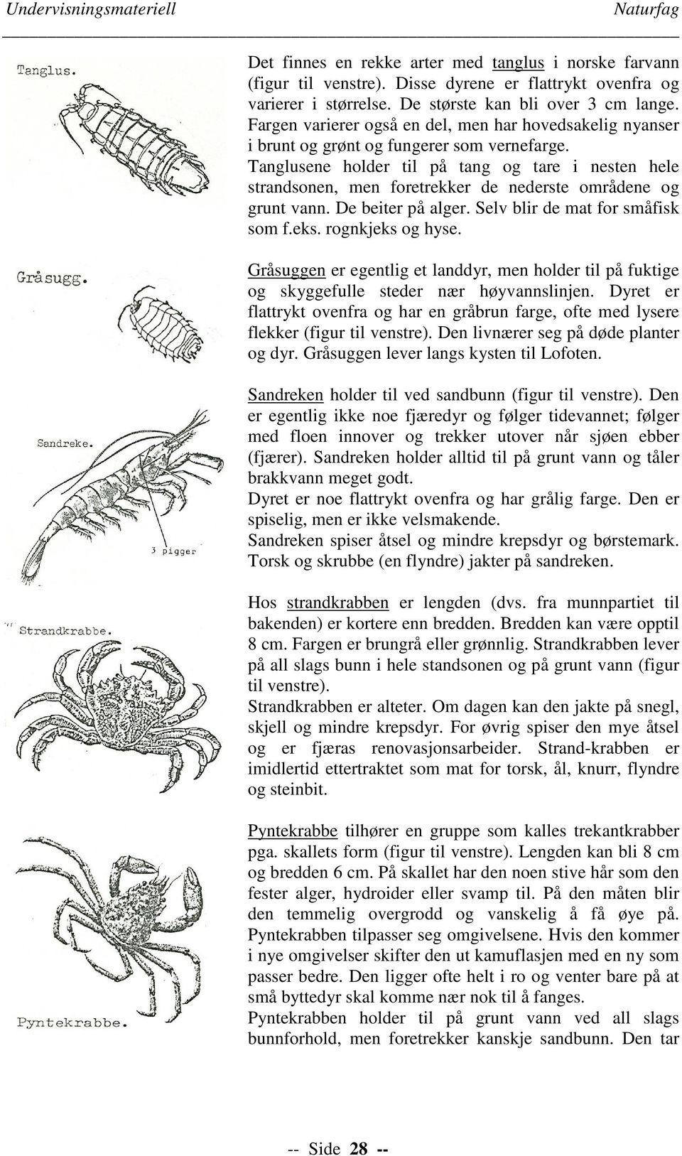 Tanglusene holder til på tang og tare i nesten hele strandsonen, men foretrekker de nederste områdene og grunt vann. De beiter på alger. Selv blir de mat for småfisk som f.eks. rognkjeks og hyse.