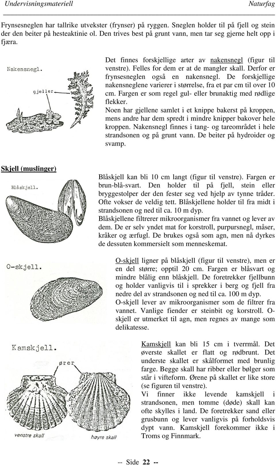 Derfor er frynsesneglen også en nakensnegl. De forskjellige nakensneglene varierer i størrelse, fra et par cm til over 10 cm. Fargen er som regel gul- eller brunaktig med rødlige flekker.