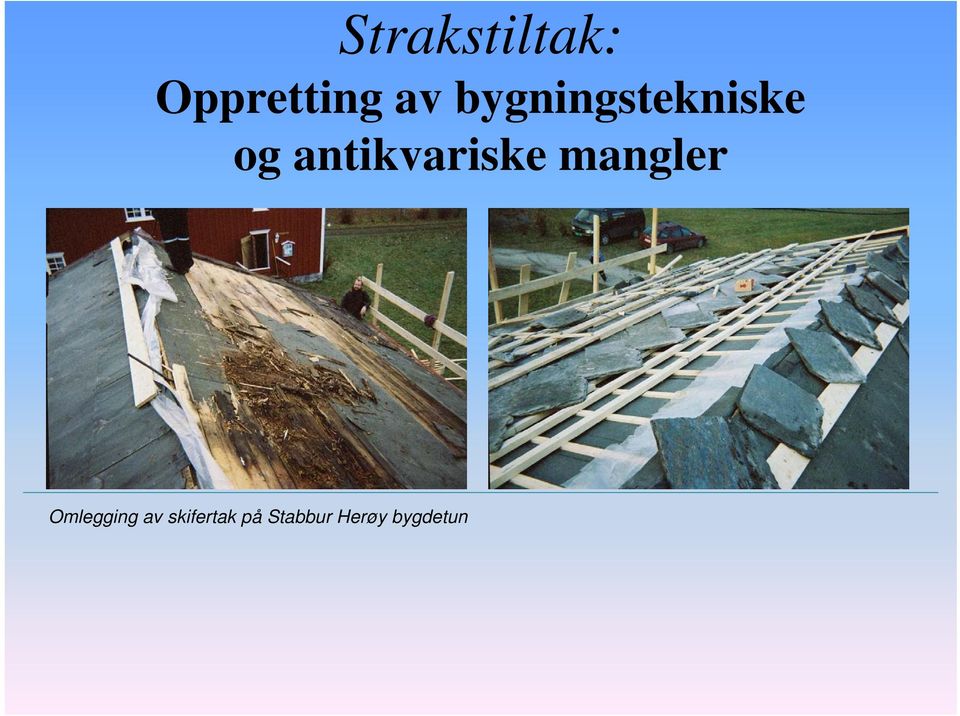 antikvariske mangler