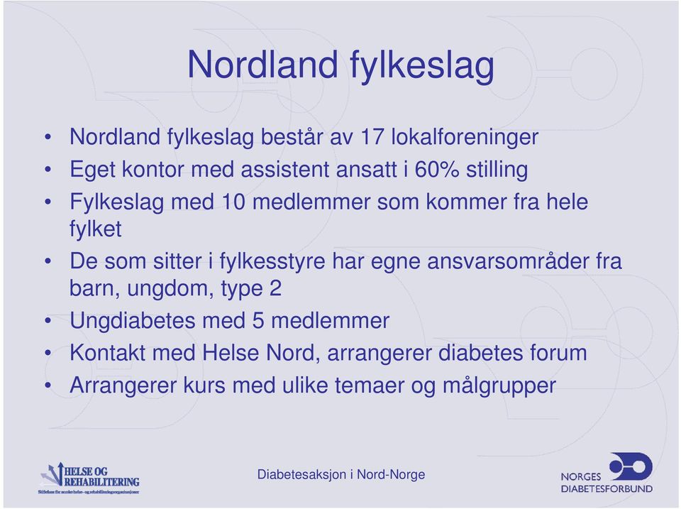 fylkesstyre har egne ansvarsområder fra barn, ungdom, type 2 Ungdiabetes med 5 medlemmer