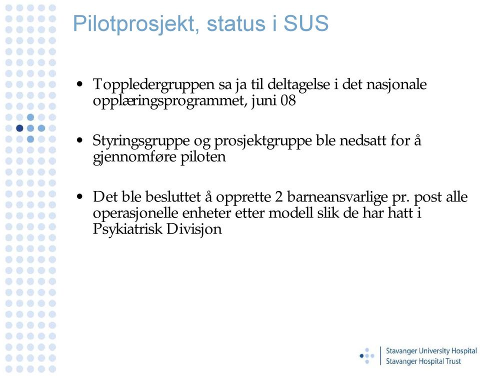 nedsatt for å gjennomføre piloten Det ble besluttet å opprette 2