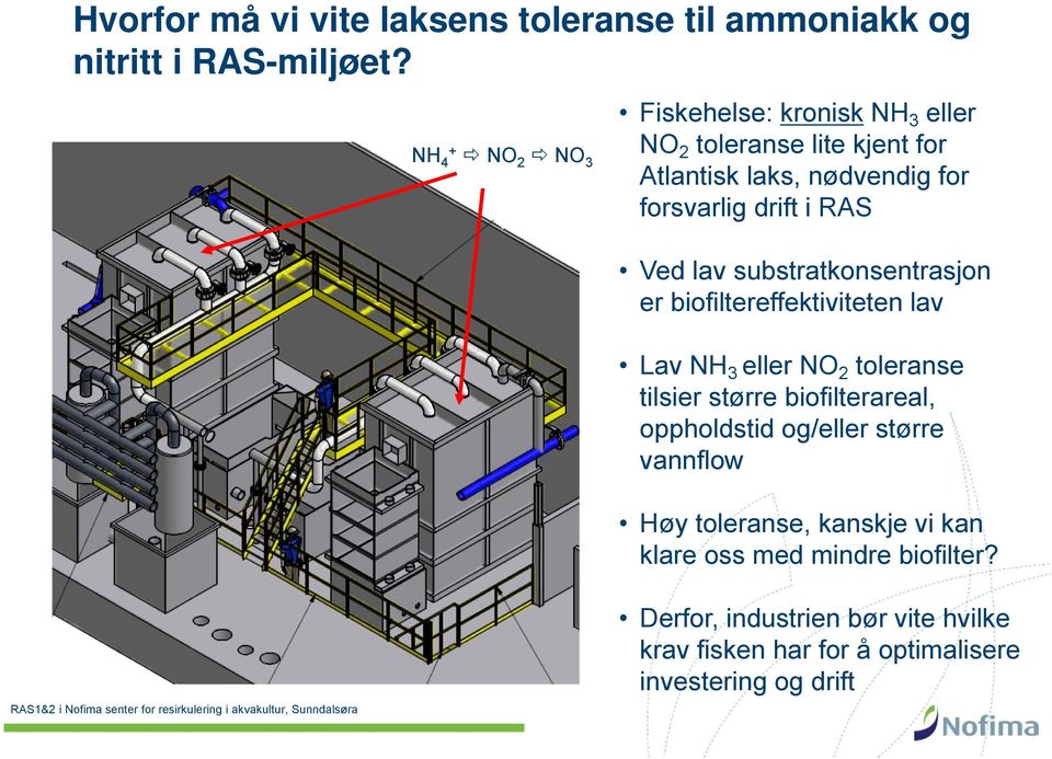 substratkonsentrasjon er biofiltereffektiviteten lav Lav NH 3 eller NO 2 toleranse tilsier større biofilterareal, oppholdstid og/eller større