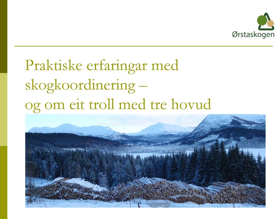 skogkoordinering