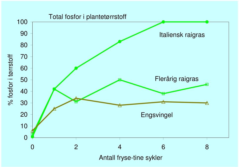 plantetørrstoff Italiensk raigras