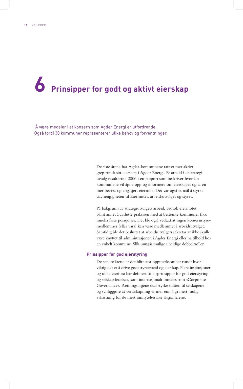 Et arbeid i et strategiutvalg resulterte i 2006 i en rapport som beskriver hvordan kommunene vil åpne opp og informere om eier skapet og ta en mer bevisst og engasjert eierrolle.