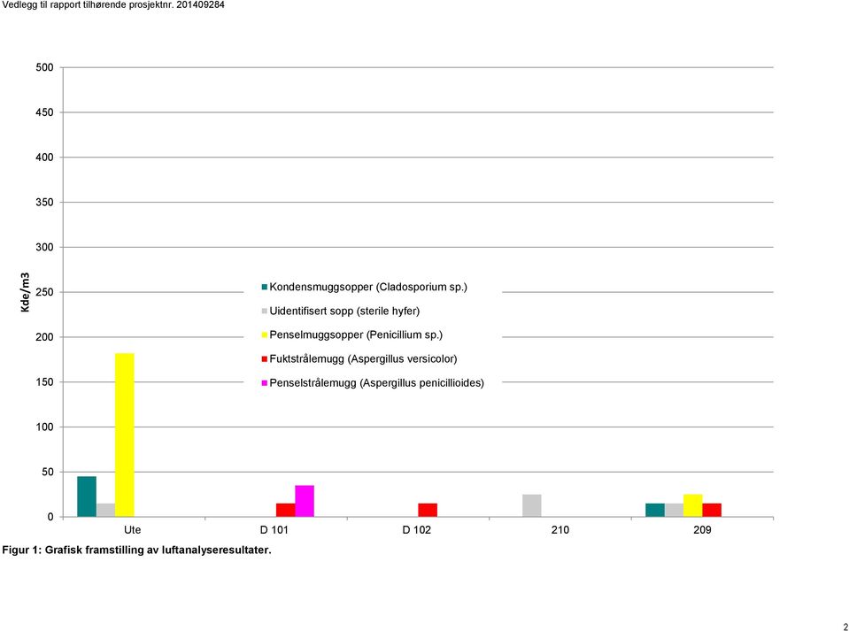 ) Uidentifisert sopp (sterile hyfer) Penselmuggsopper (Penicillium sp.