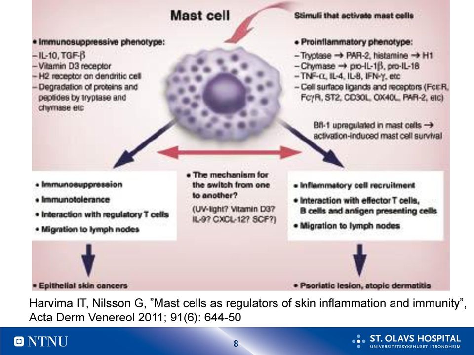 inflammation and immunity,