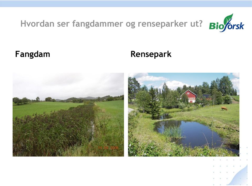 renseparker ut?