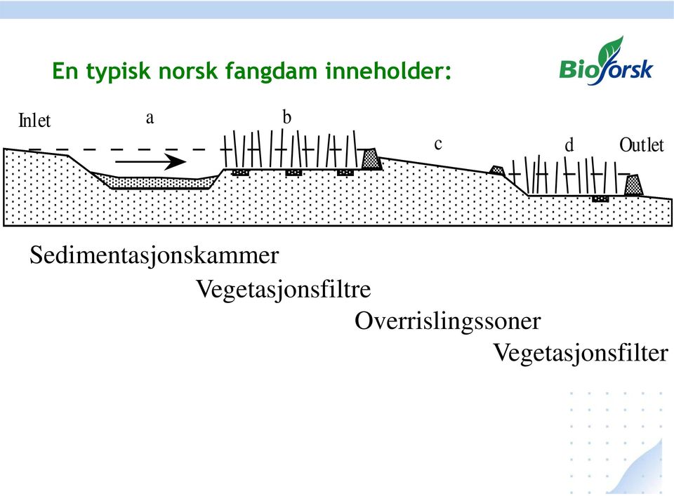 Sedimentasjonskammer