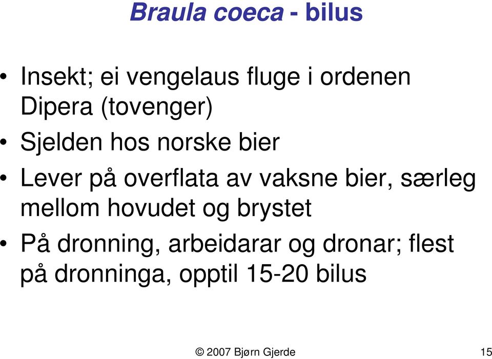 bier, særleg mellom hovudet og brystet På dronning, arbeidarar og