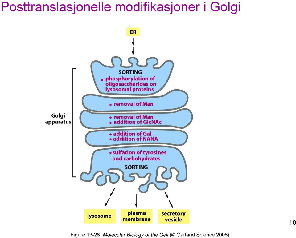 Figure 13-28 Molecular