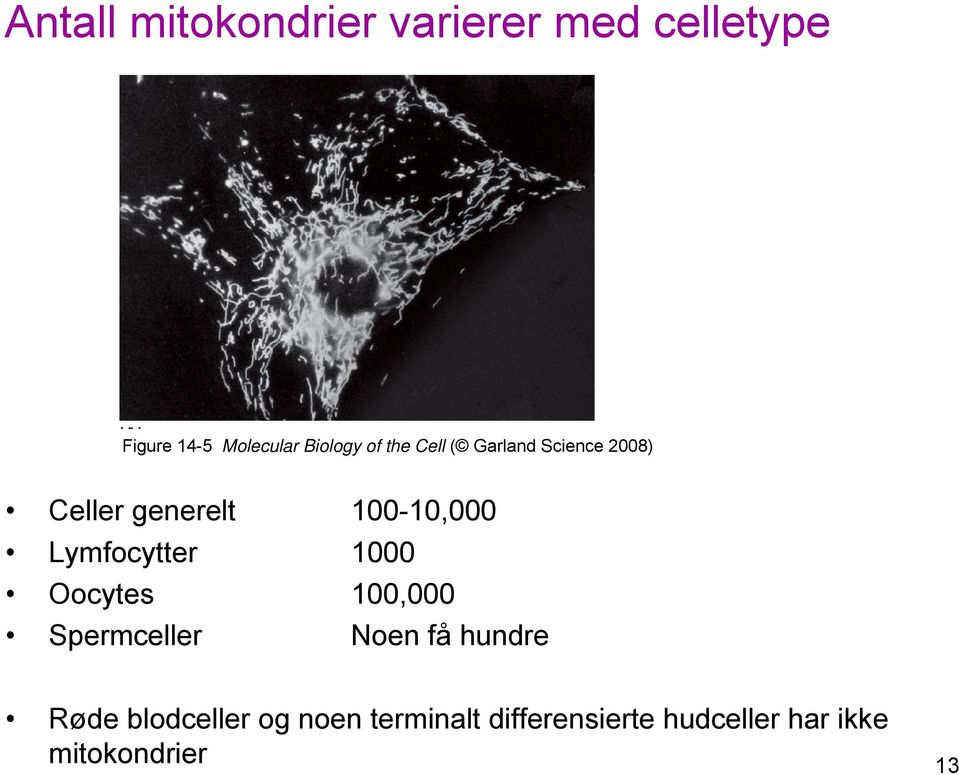 100-10,000 Lymfocytter 1000 Oocytes 100,000 Spermceller Noen få