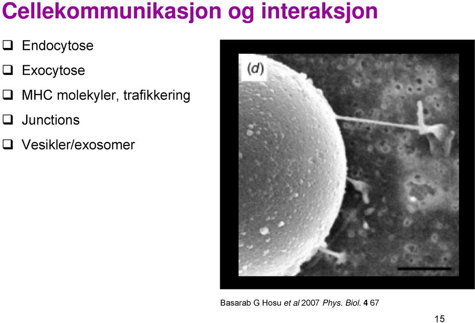 trafikkering Junctions