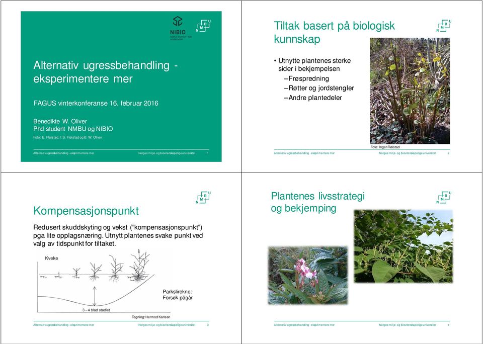 W. Oliver Foto: Inger Fløistad Alternativ ugressbehandling -eksprimentere mer Norges miljø-og biovitenskapelige universitet 1 Alternativ ugressbehandling -eksprimentere mer Norges miljø-og