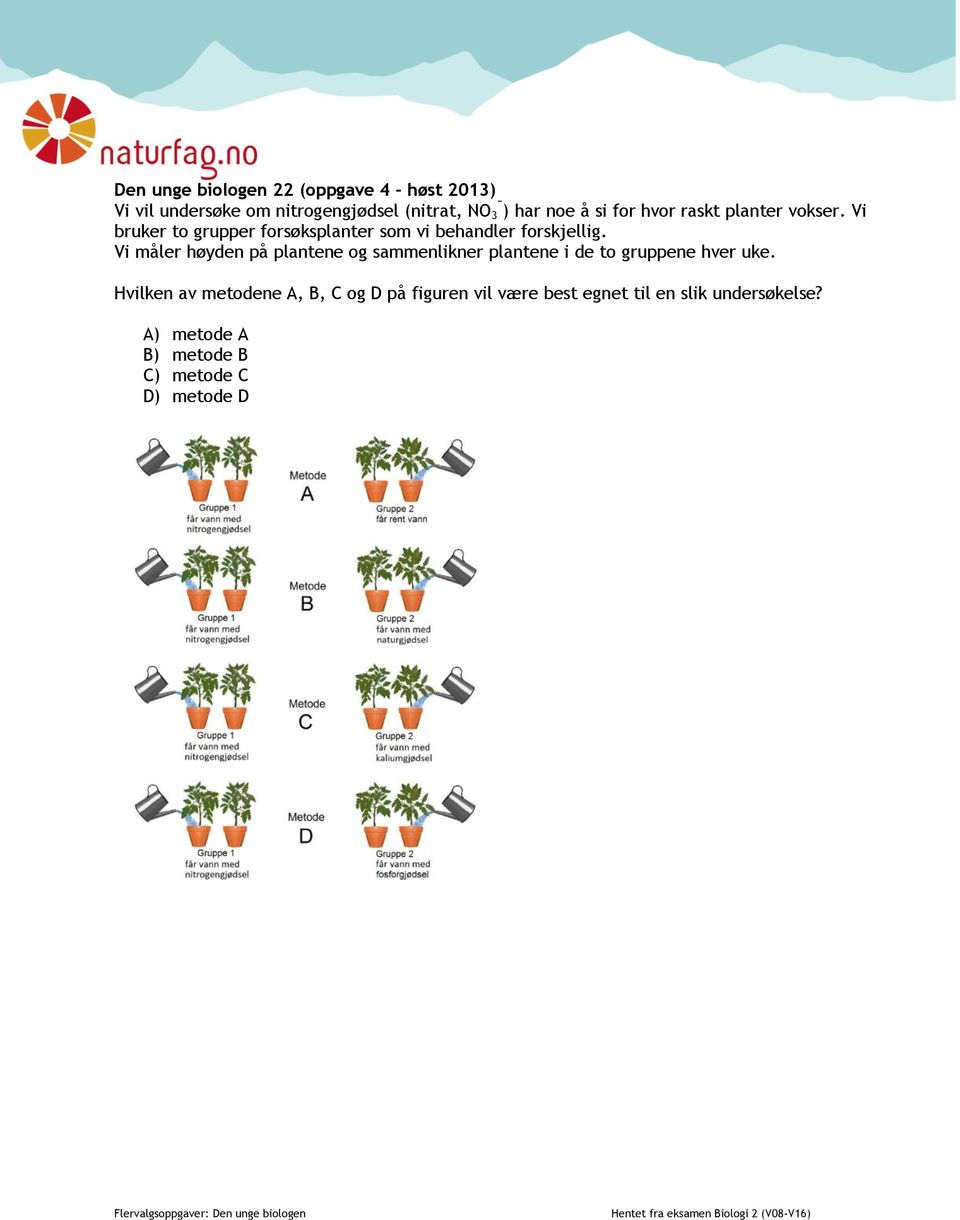 Vi måler høyden på plantene og sammenlikner plantene i de to gruppene hver uke.