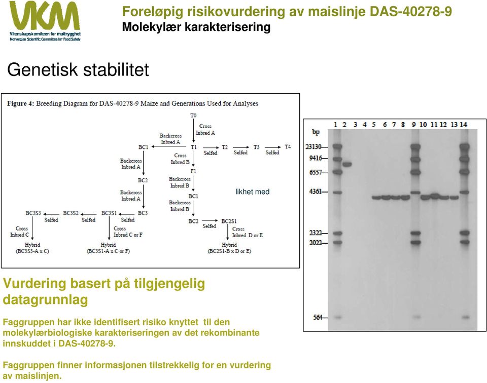 identifisert risiko knyttet til den molekylærbiologiske karakteriseringen av det