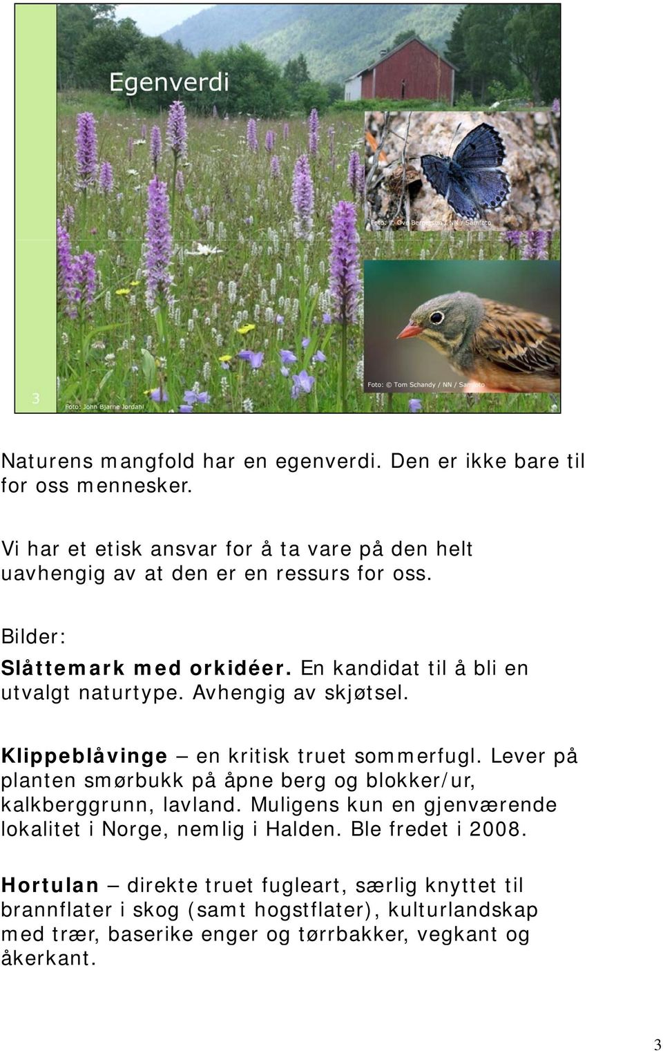 En kandidat til å bli en utvalgt naturtype. Avhengig av skjøtsel. Klippeblåvinge en kritisk truet sommerfugl.