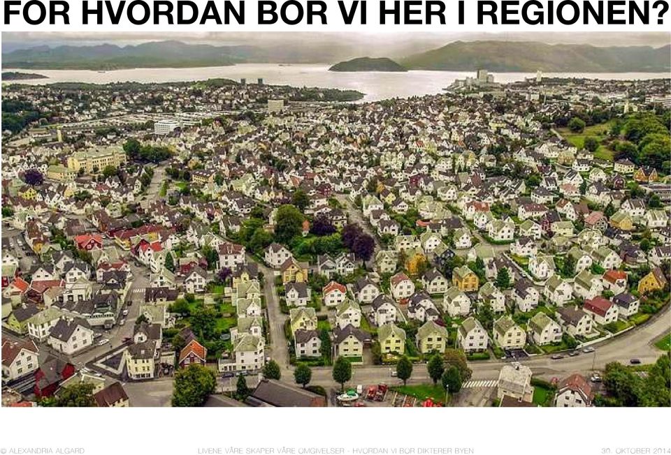 BOR VI