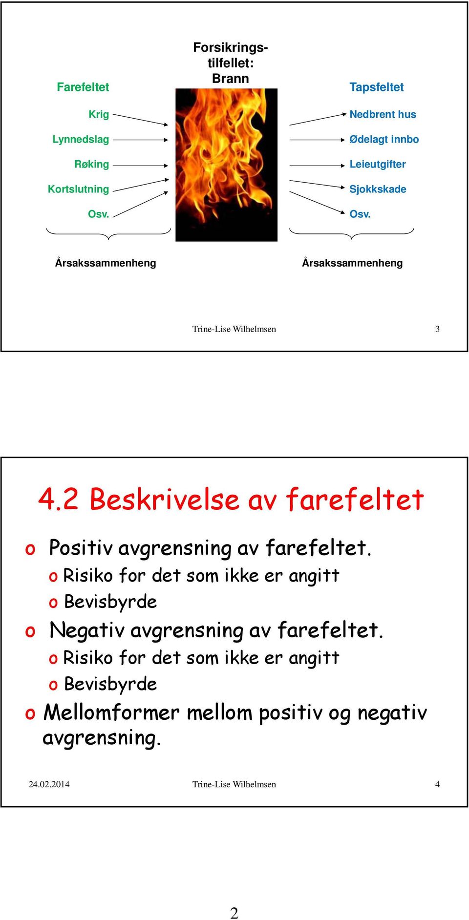 Årsakssammenheng Årsakssammenheng Trine-Lise Wilhelmsen 3 4.2 Beskrivelse av farefeltet o Positiv avgrensning av farefeltet.