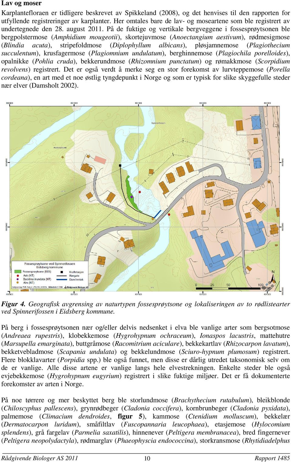 På de fuktige og vertikale bergveggene i fossesprøytsonen ble bergpolstermose (Amphidium mougeotii), skortejuvmose (Anoectangium aestivum), rødmesigmose (Blindia acuta), stripefoldmose (Diplophyllum