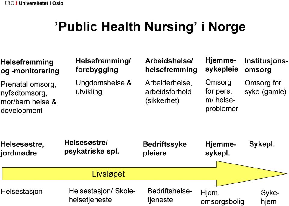 (sikkerhet) Omsorg for pers. m/ helseproblemer Omsorg for syke (gamle) Helsesøstre, jordmødre Helsesøstre/ psykatriske spl.