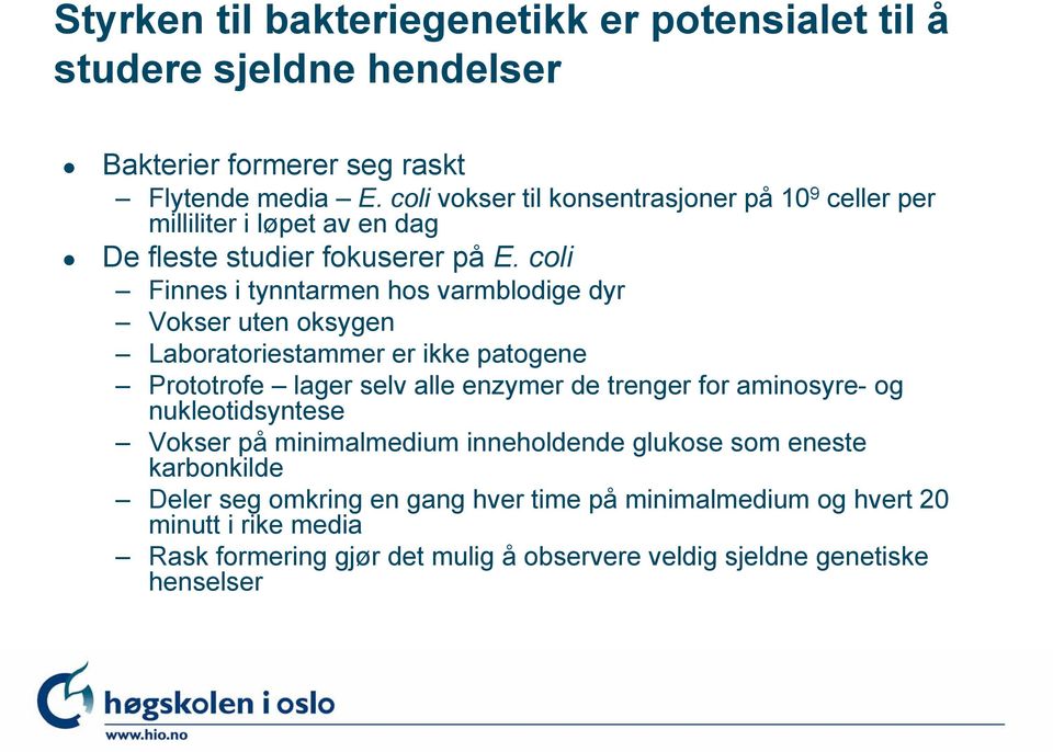 coli Finnes i tynntarmen hos varmblodige dyr Vokser uten oksygen Laboratoriestammer er ikke patogene Prototrofe lager selv alle enzymer de trenger for aminosyre-