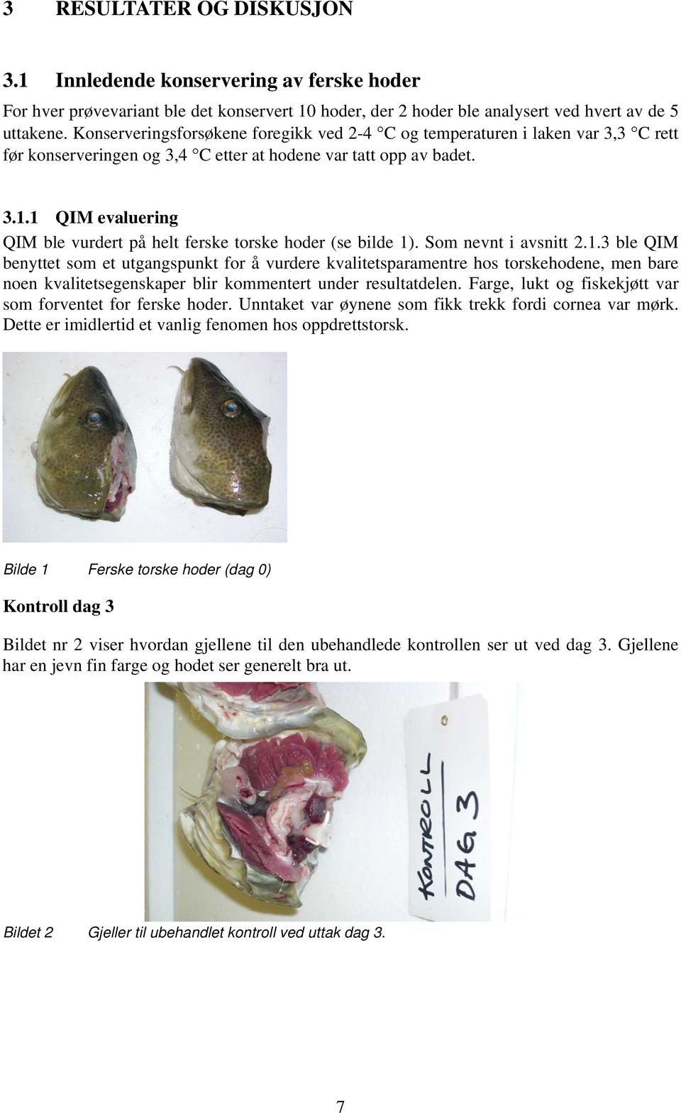 1 QIM evaluering QIM ble vurdert på helt ferske torske hoder (se bilde 1). Som nevnt i avsnitt 2.1.3 ble QIM benyttet som et utgangspunkt for å vurdere kvalitetsparamentre hos torskehodene, men bare noen kvalitetsegenskaper blir kommentert under resultatdelen.