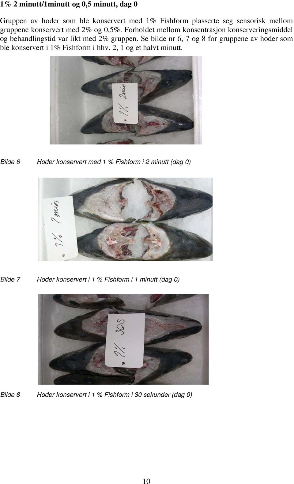 Se bilde nr 6, 7 og 8 for gruppene av hoder som ble konservert i 1% Fishform i hhv. 2, 1 og et halvt minutt.