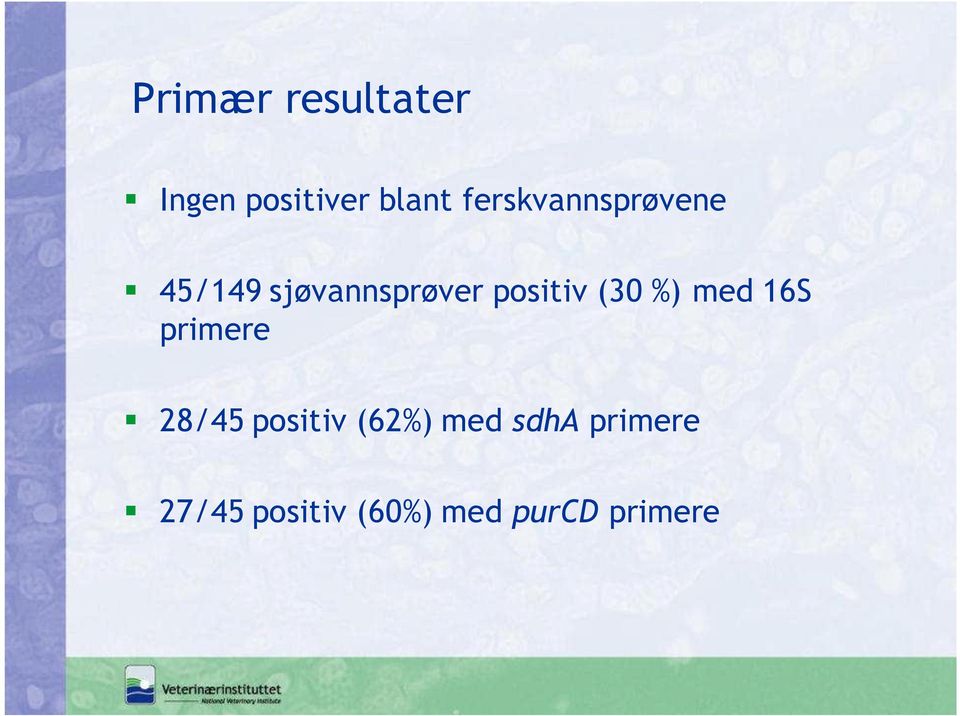 positiv (30 %) med 16S primere 28/45 positiv