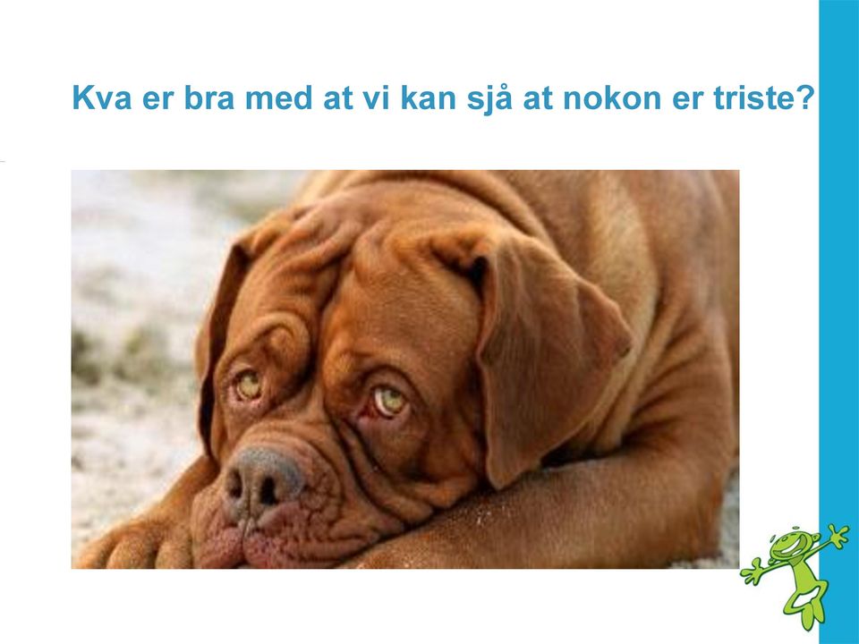 kan sjå at