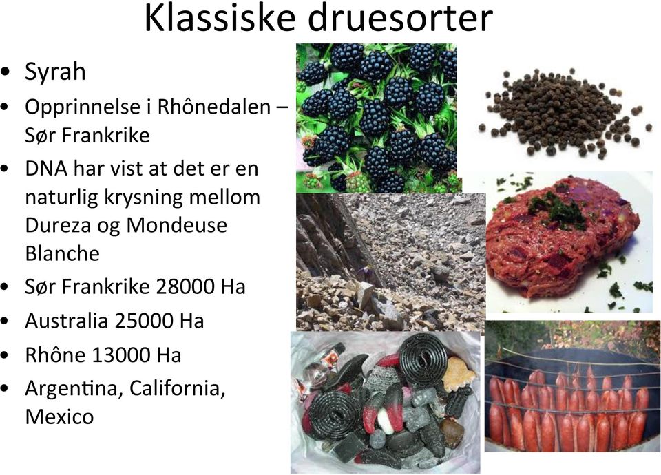 mellom Dureza og Mondeuse Blanche Sør Frankrike 28000 Ha