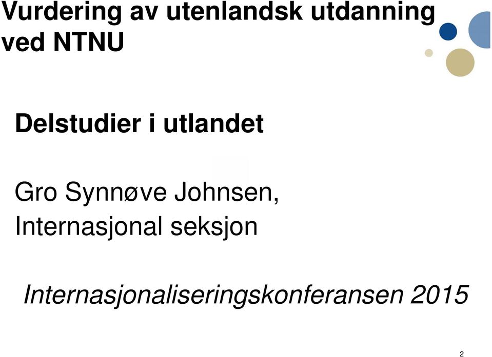 Synnøve Johnsen, Internasjonal