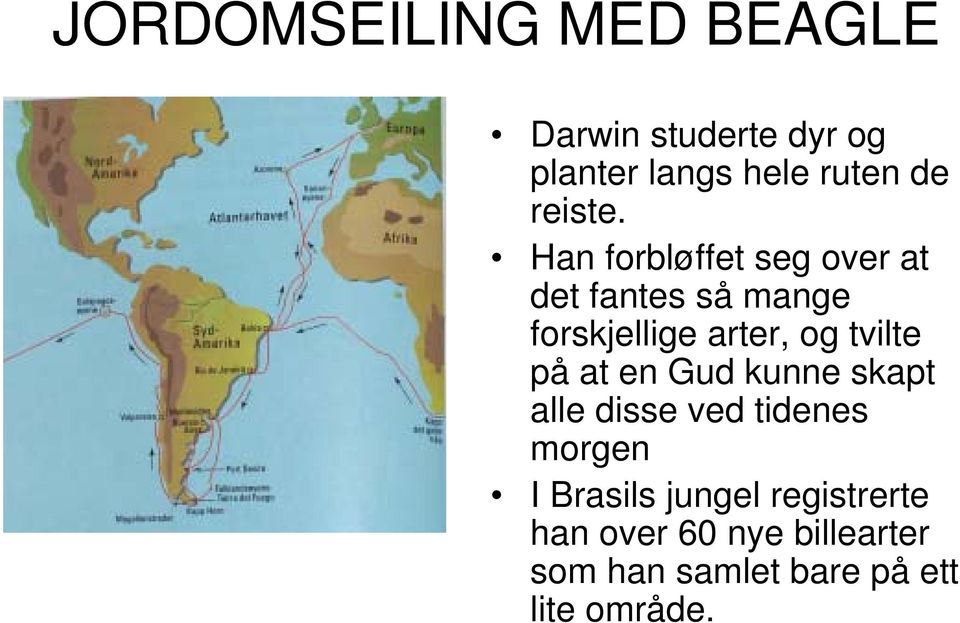 Han forbløffet seg over at det fantes så mange forskjellige arter, og tvilte