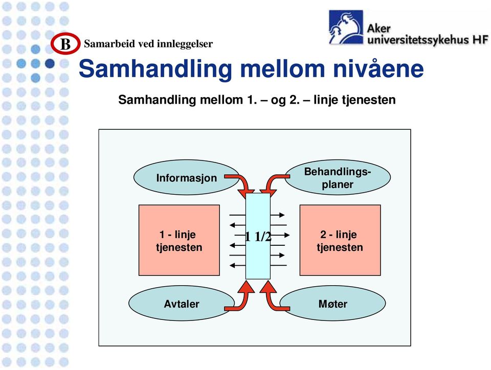 linje tjenesten Informasjon Behandlingsplaner 1