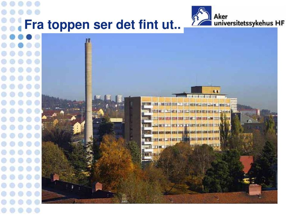 ser det