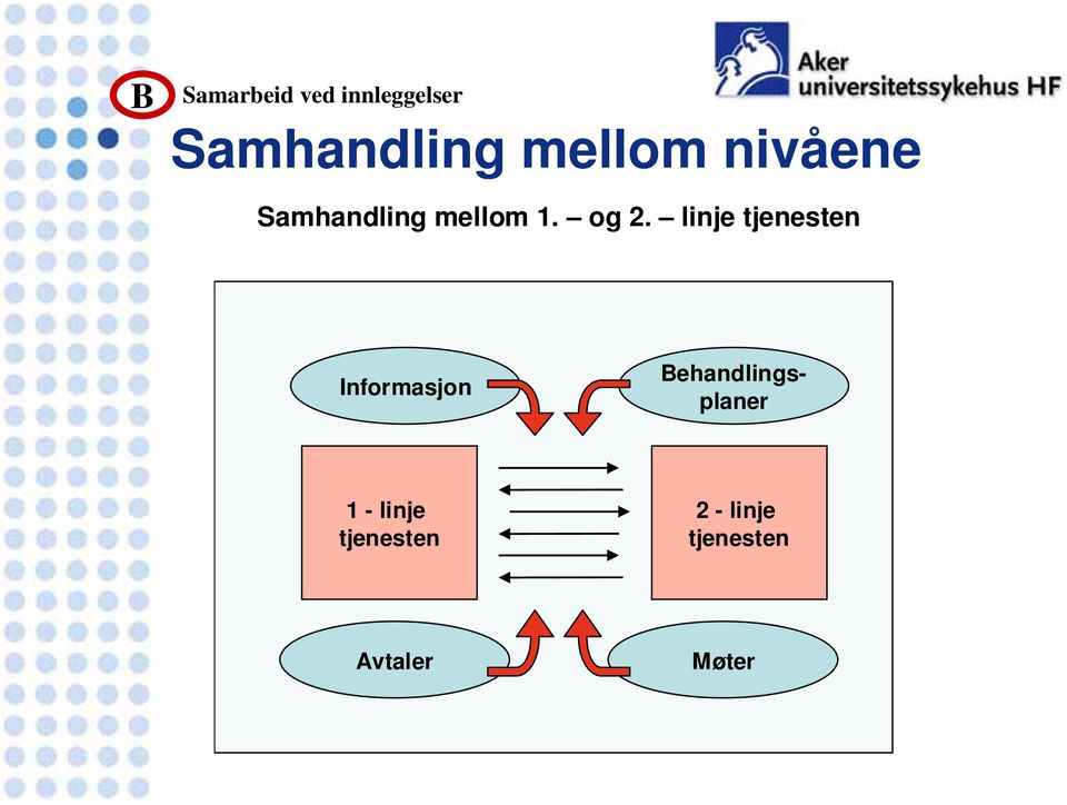 linje tjenesten Informasjon Behandlingsplaner