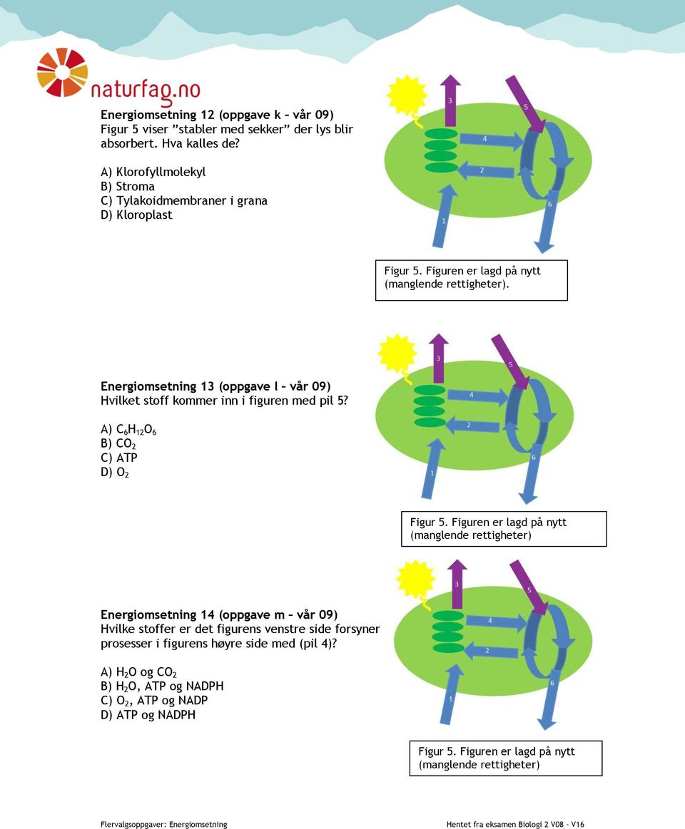 Energiomsetning 13 (oppgave l vår 09) Hvilket stoff kommer inn i figuren med pil 5? A) C 6 H 12 O 6 B) CO 2 C) ATP D) O 2 Figur 5.