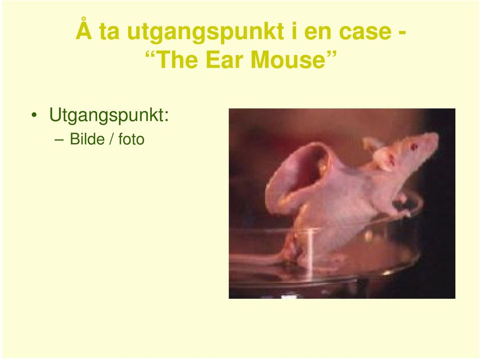 Ear Mouse