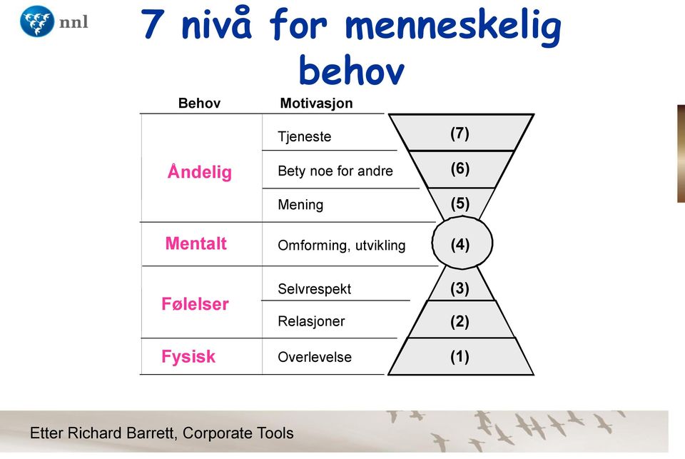 Omforming, utvikling (4) Følelser Selvrespekt Relasjoner