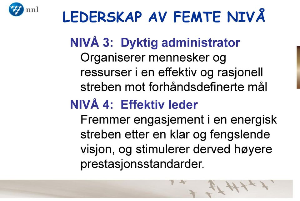 NIVÅ 4: Effektiv leder Fremmer engasjement i en energisk streben etter en