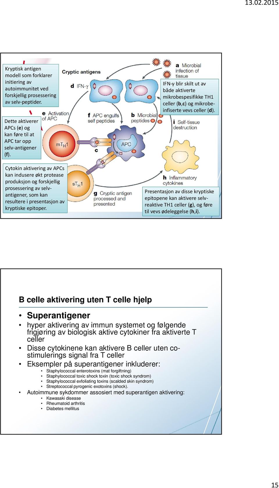 Cytokin aktivering av APCs kan indusere økt protease produksjon og forskjellig prosessering av selvantigener, som kan resultere i presentasjon av kryptiske epitoper.