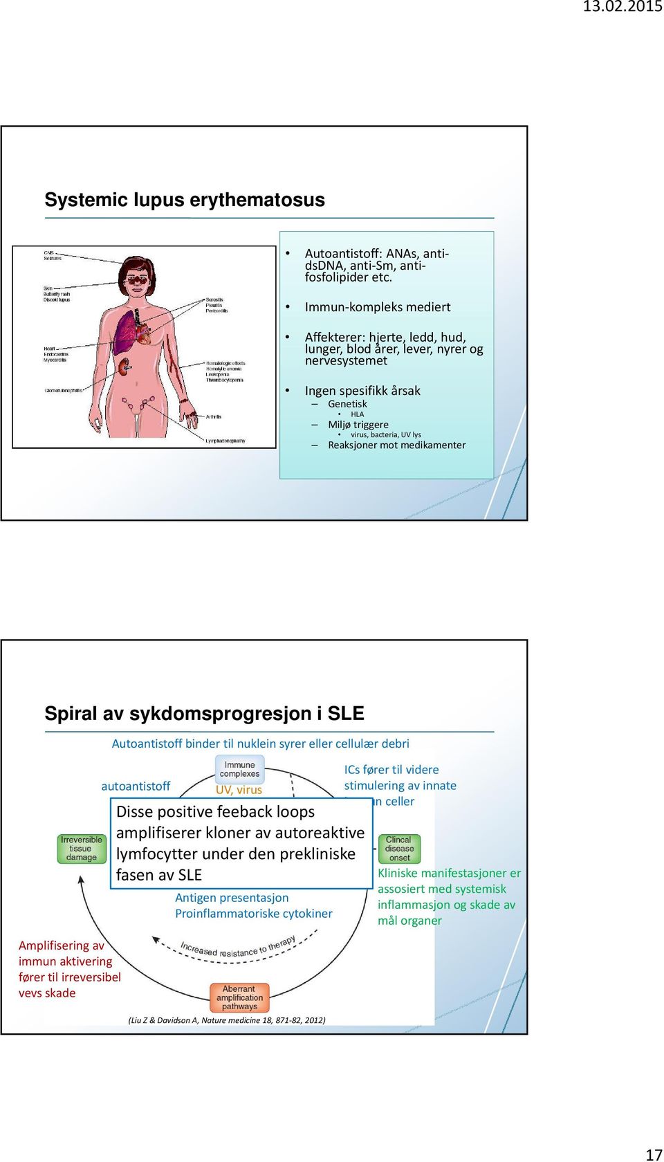 medikamenter Spiral av sykdomsprogresjon i SLE Amplifisering av immun aktivering fører til irreversibel vevs skade Autoantistoff binder til nuklein syrer eller cellulær debri autoantistoff UV, virus