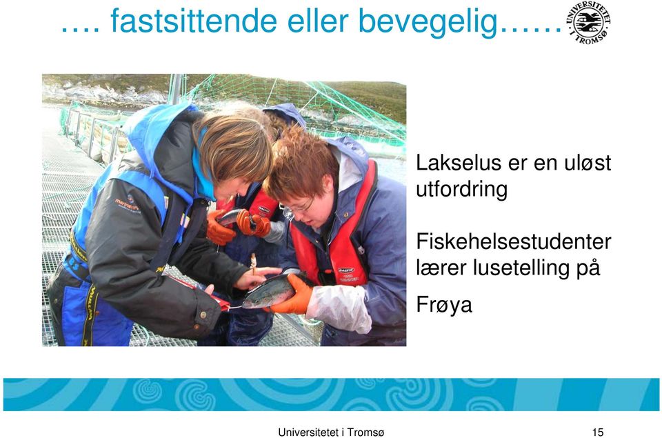 Fiskehelsestudenter lærer
