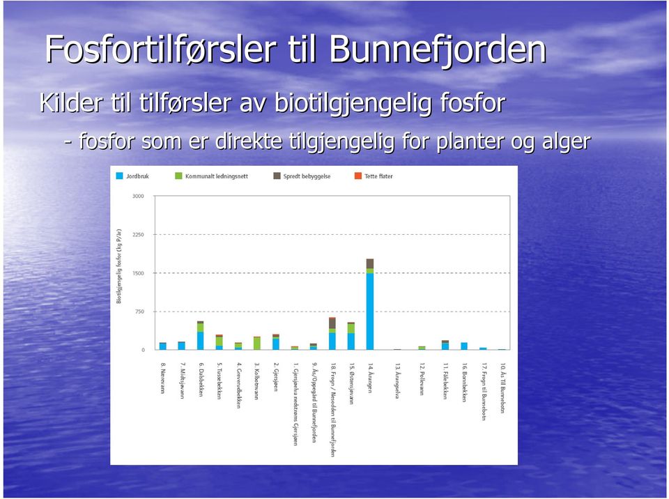 av biotilgjengelig fosfor - fosfor