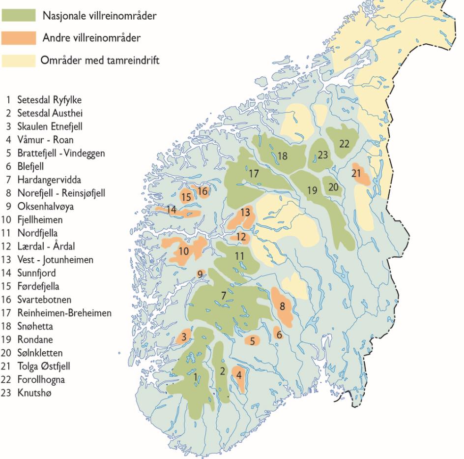 hjortevilt og